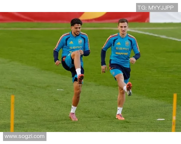 西班牙国家队在世界杯预选赛中的战术布置与球员表现分析