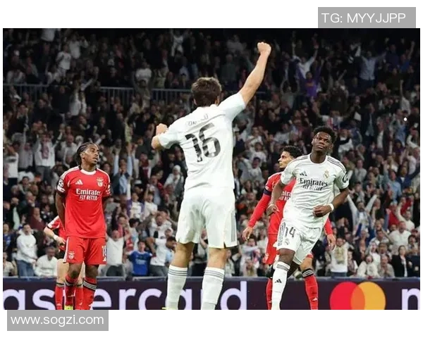 本菲卡逆转里昂补时绝杀引发争议判罚全场沸腾 本菲卡逆转里昂补时绝杀引发争议判罚全场沸腾